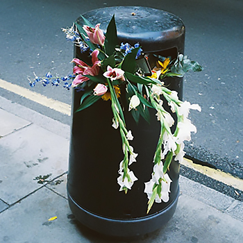 A photograph of a bunch of flowers pressed into a trash bin on the street