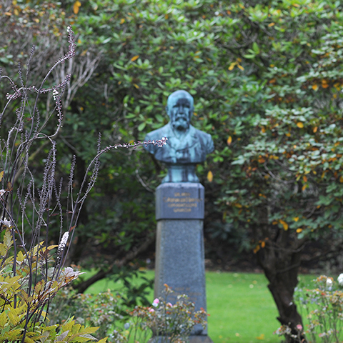 image of the statue of Armeuer Hansen surrounded by flowers.